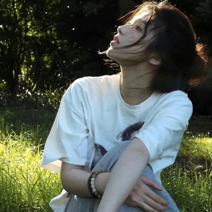 夏普的老鹰
